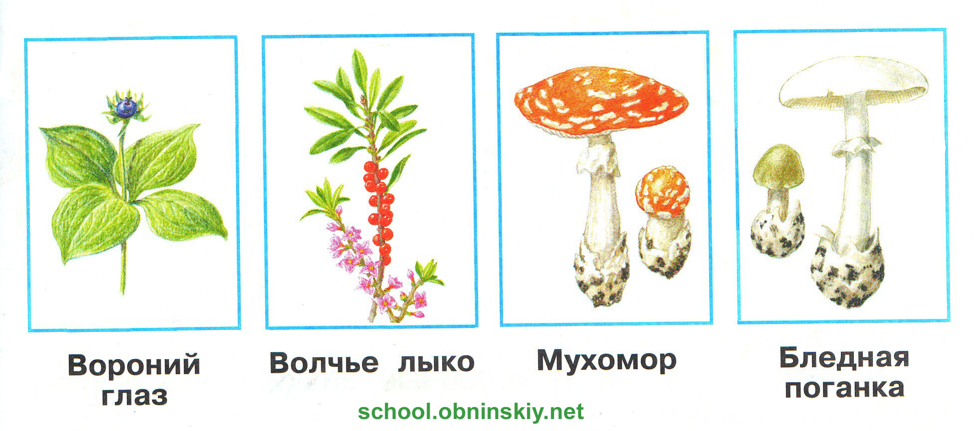Описание: http://school.obninskiy.net/data/uploads/okr_mir/okrmir_kl2_ch2_16.jpg